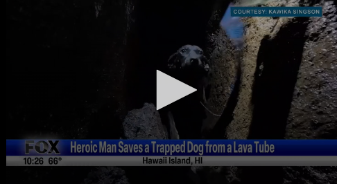 Heroic Man Saves Dog Trapped In A Lava Tube June 14th 2024