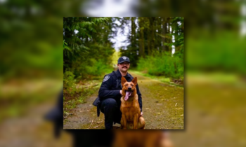 Airway Heights K9 dog discovers true calling in drug detection