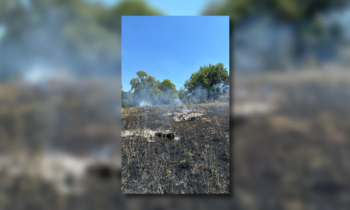 Spokane County firefighters contain brush fire near North Spokane Corridor