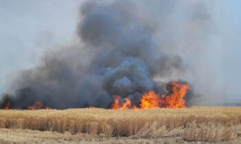 50-acre wildfire near Clarkston contained by firefighters with multi-agency support