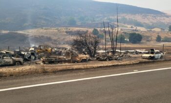 Gwen Fire stands at over 20,000 acres, burns through several houses