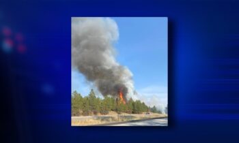 U.S. Highway 195 closed near Mullen Hill Road in both directions due to brush fire