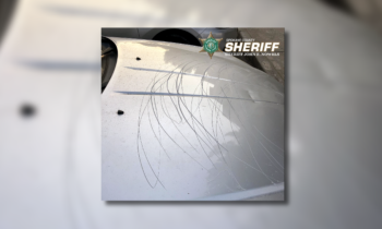 Spokane Valley man arrested for assault and vandalism