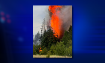 Selkirk Fire responds to Scheider Fire in Sagle, multiple buildings destroyed