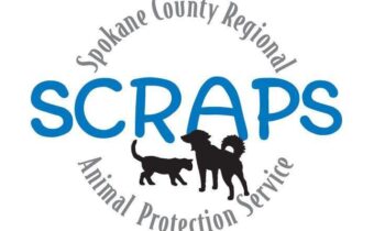 Spokane SCRAPS offering free neutering amid increase of pregnant animals