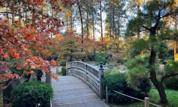 Manito Park named best public park in Washington state