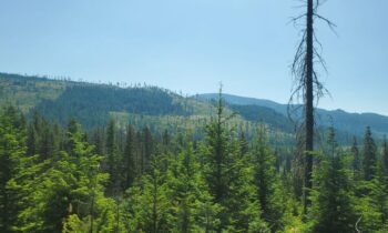 Road construction starts in the Nez Perce-Clearwater national forests