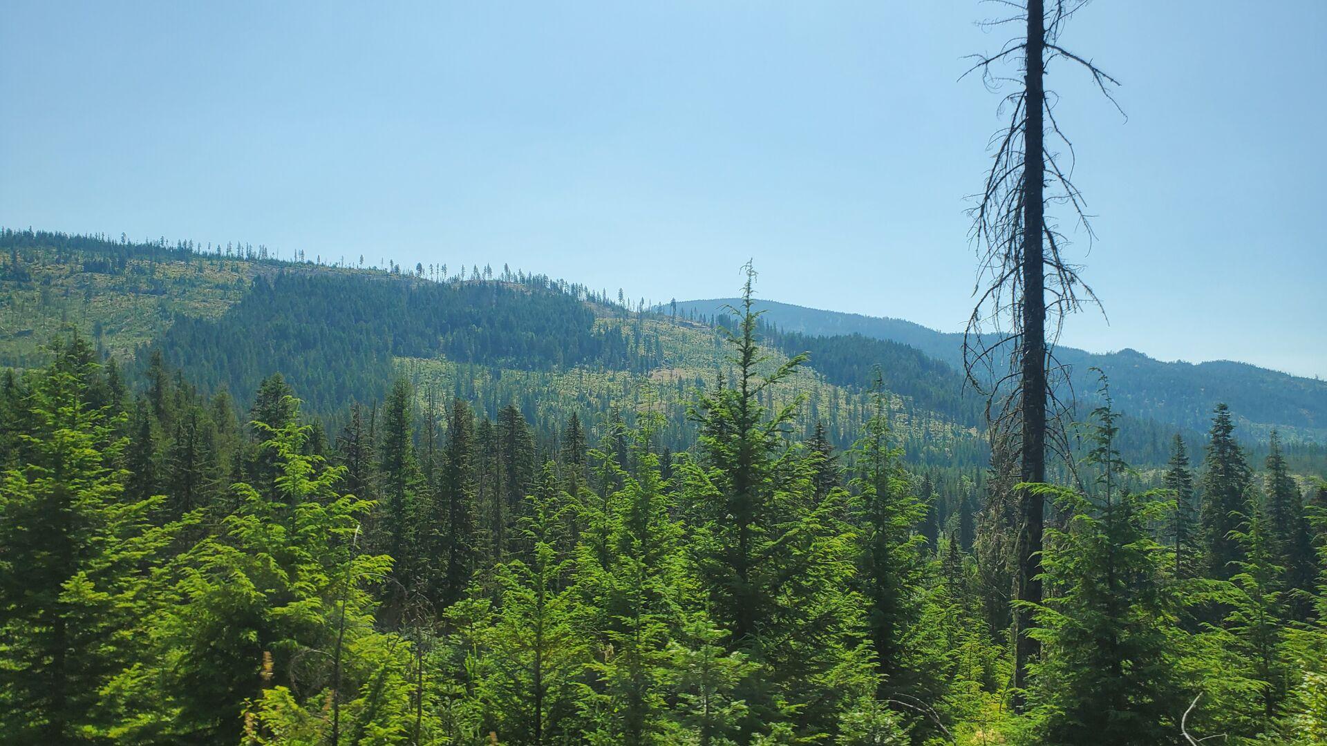 Road Construction Starts In The Nez Perce-clearwater National Forests 