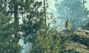 Spokane Valley firefighters battle brush fire near Appleway Road