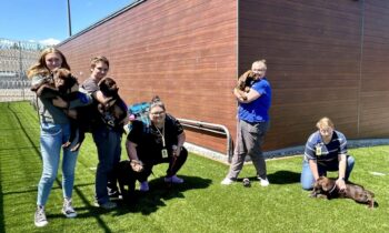 Washington Corrections Center for Women receives puppies for training