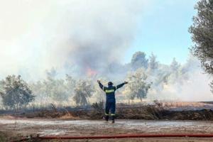 Athens suburbs burn as Greece calls on EU for help