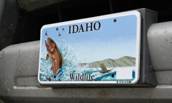 Idaho Fish and Wildlife introduce new license plates featuring elk, trout, and bluebird designs