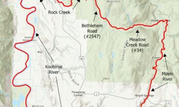 Chronic wasting disease surveillance hunt planned for north Idaho deer population