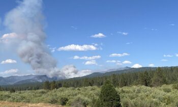 Flat fire burns 3,500 acres in Boise County