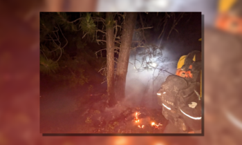 Stevens County firefighters address several wildfires overnight