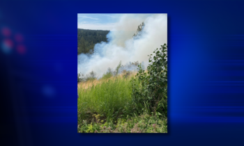 Fire burning near High Bridge Park in Spokane