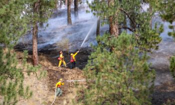 Spokane firefighters contain brush fires near condos; investigation underway for suspicious activity