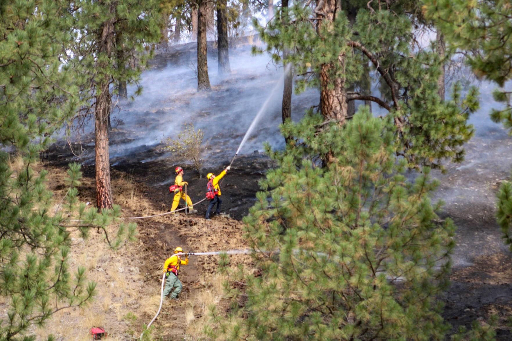 Spokane firefighters extinguish brush fires near residential areas; investigation into suspicious activity underway