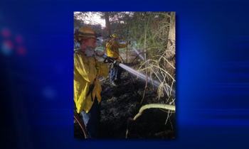 Spokane County Fire District 9 quickly extinguishes grass fire, faces unexpected bee swarm