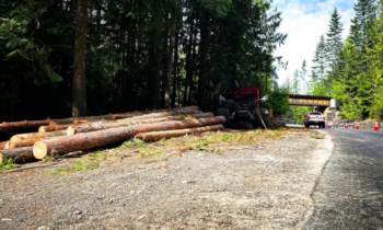 Idaho Transportation Department clears 12 miles of hazardous trees for safer roads