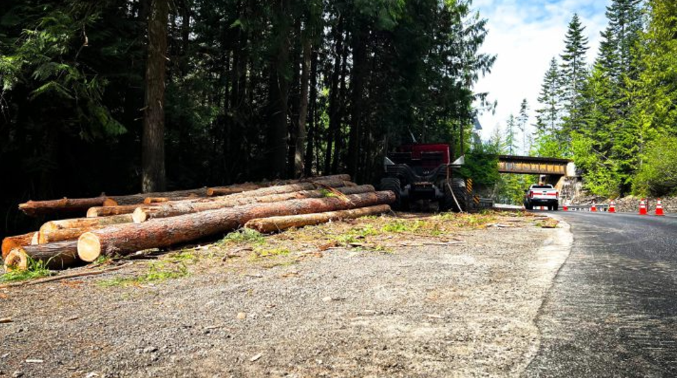 Idaho Transportation Department clears 12 miles of dangerous trees for safer roads