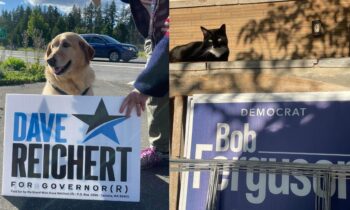 Political pets are a century-old campaign staple