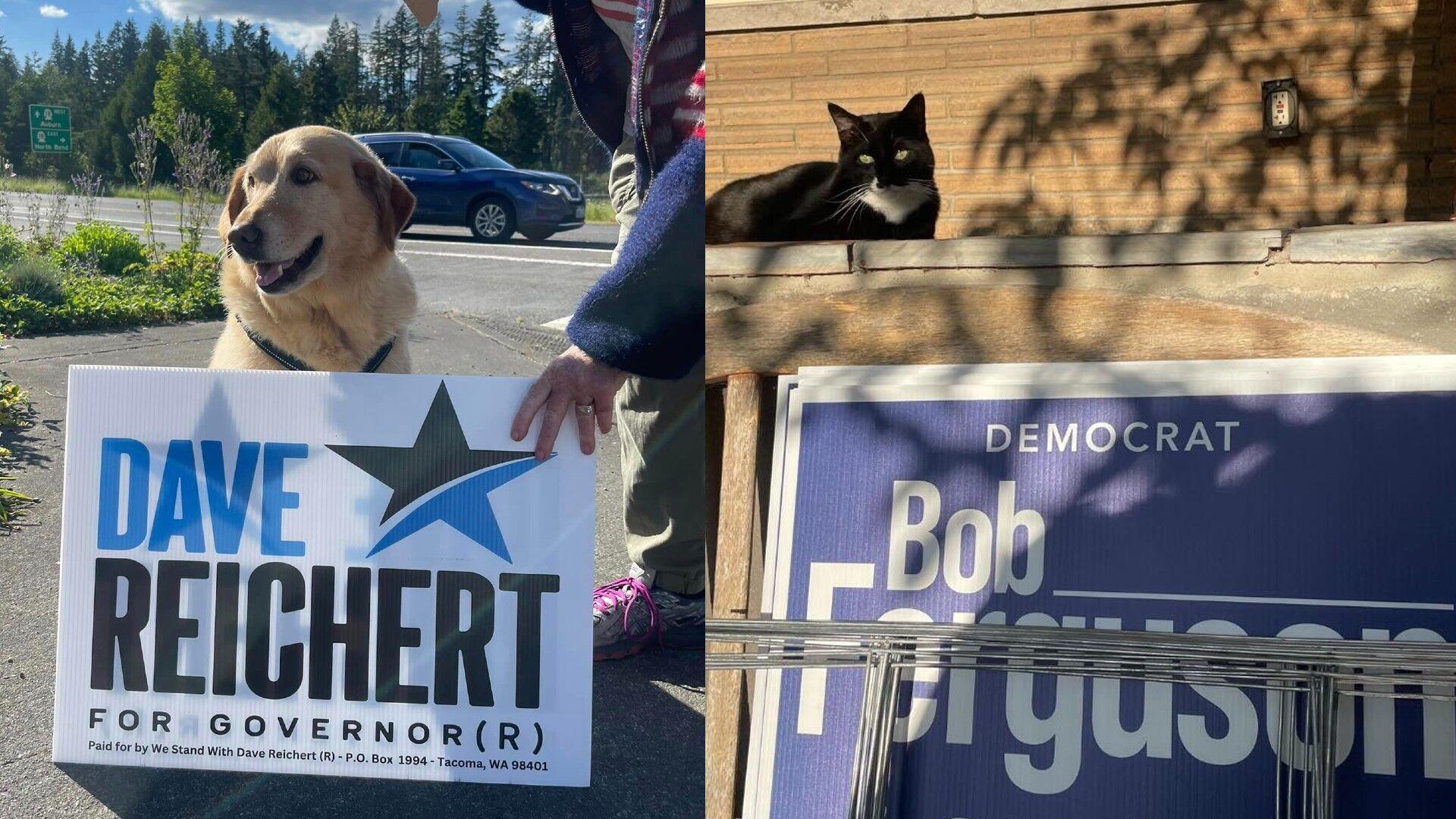 Political pets are a century-old campaign staple