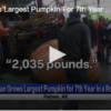 Man Grows Largest Pumpkin For 7th Year In A Row August 28 2024