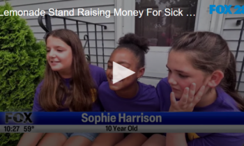 Lemonade Stand Raising Money For Sick Kids