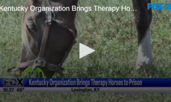 Kentucky Organization Brings Therapy Horses To Prison