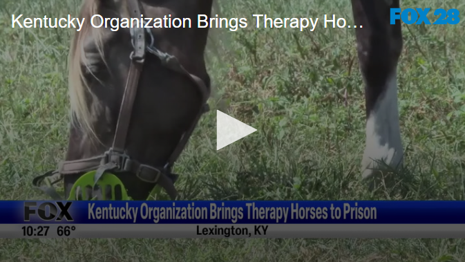 Kentucky Organization Brings Therapy Horses To Prison August 30th 2024