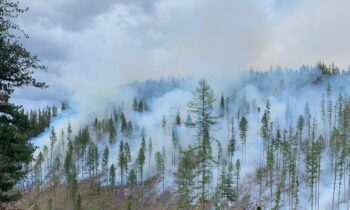 Prescribed burns planned for Idaho Panhandle National Forests