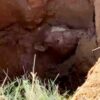 Firefighters rescue cow stuck in sinkhole