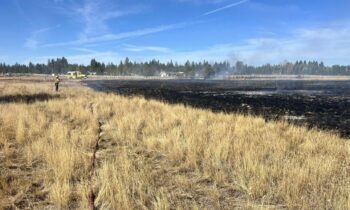 Progression of brush fire halted in Cheney