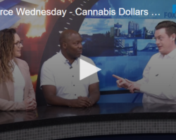 Workforce Wednesday - Cannabis Dollars Put Towards Communities