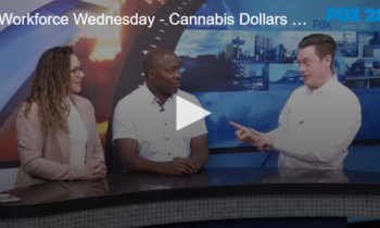 Workforce Wednesday - Cannabis Dollars Put Towards Communities