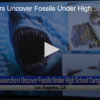 Researchers Uncover Fossils Under High School Campus September 10th 2024