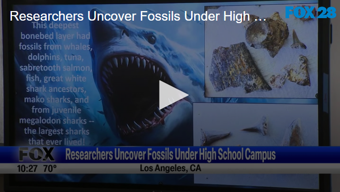 Researchers Uncover Fossils Under High School Campus September 10th 2024