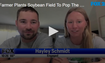 Farmer Plants Soybean Field To Pop The Question September 11 2024