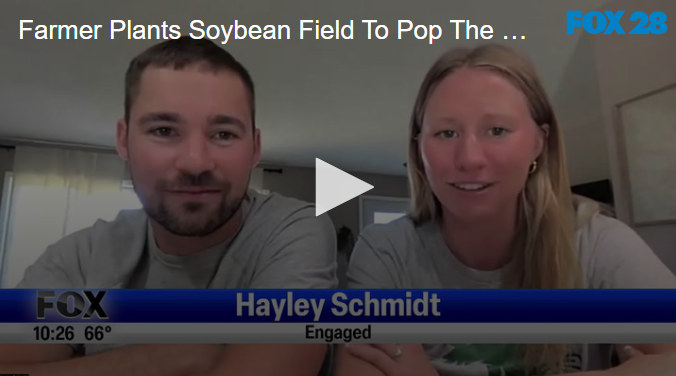 Farmer Plants Soybean Field To Pop The Question September 11 2024