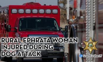 Ephrata woman hospitalized after being attacked by 6 dogs