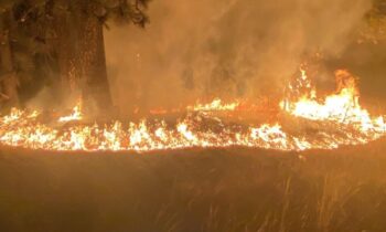 Small brush fire sparks by U.S. Highway Sunday night