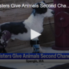 Spangle Sisters Give Animals Second Chance