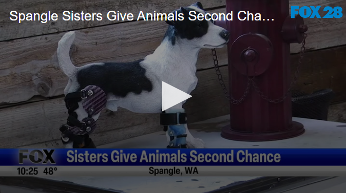 Spangle Sisters Give Animals Second Chance October 4th 2024