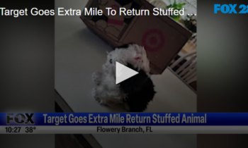 Target Goes Extra Mile To Return Stuffed Animal October 24th 2024