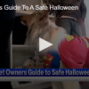 Pet Owner's Guide To A Safe Halloween October 25 2024