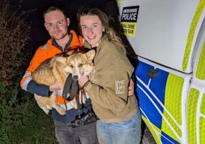 Dog that escaped car crash found in dark field using drone technology