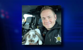 Idaho trooper rescues lost bunny rabbit near Idaho Falls