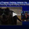 Service Dog Program Helping Veteran Health November 12 2024