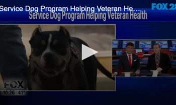 Service Dog Program Helping Veteran Health November 12 2024